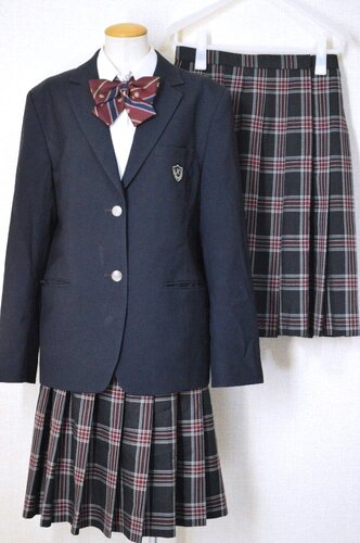  ���傫�� ��ʌ��� ���������w�Z �u���U�[�~�ĕ���T6118