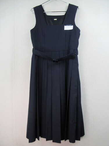 ������ 9764�@550�@�߉ϐ�쒆�w �ăW�����X�J ���n