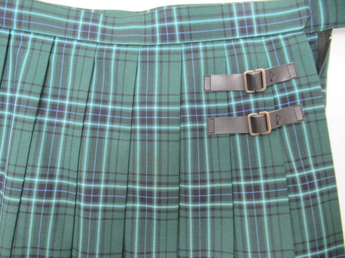 ������ 9766�@510�@�傫�ȃT�C�Y�I�F�����ƍ��Z �~�X�J�[�g �΁{���{���F �`�F�b�N��