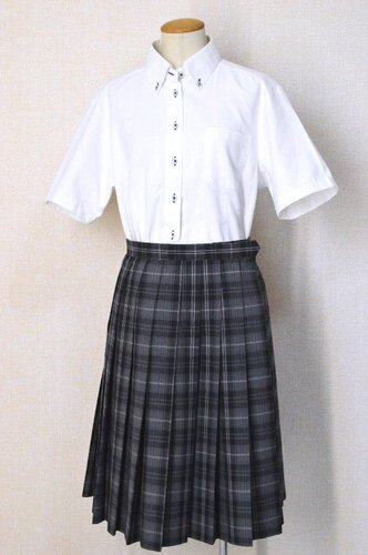  ���_�ސ쌧 ���Q���q�����w�Z �ĕ���T6120