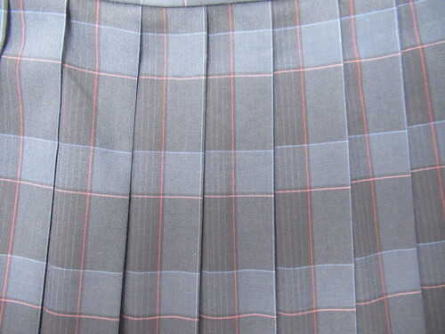 ���ꌧ 9786�@440�@���鍂�Z �ăX�J�[�g ���{�O���[+�� �`�F�b�N��