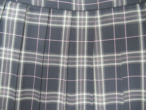 [�s��] 9789�@450�@�ăX�J�[�g ��+�O���[�{�s���N �`�F�b�N��