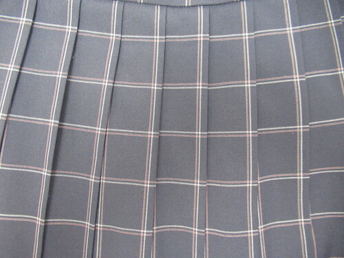 [�s��] 9791�@400�@�ăX�J�[�g ���{�ԁ{�O���[ �`�F�b�N��