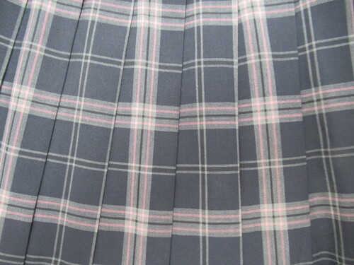 ������ 9792�@310�@����T�C�Y�I�喴�c���Z �ăX�J�[�g ��+�O���[�{�s���N �`�F�b�N��