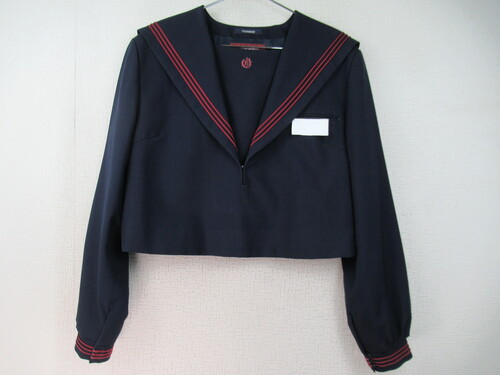 ������ 9805�@520�@�傫�ȃT�C�Y�I��˒��w �~�Z�[���[�㒅 