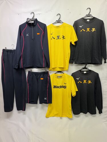  7462r �V�_�Z�b�g �����s ���� �����q�w�������q���Z ���q �̑��� �W���[�W �k�T�C�Y �~�Y�m��