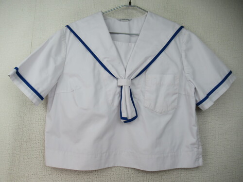 �F�{�� 9820�@220�@����T�C�Y�I�ߏ钆�w �ăZ�[���[�㒅