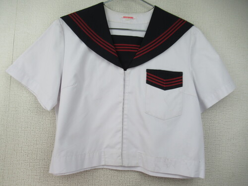 �������� 9826�@220�@�����c���w �ăZ�[���[�㒅 ���� �O�z�b�N