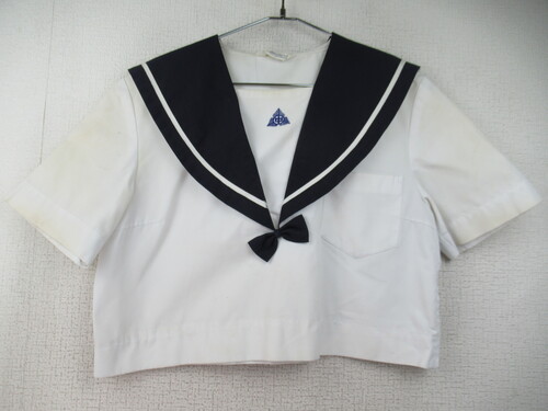 ���ꌧ 9828�@220�@�l�ʒ��w �ăZ�[���[�㒅 ���� �����{���t