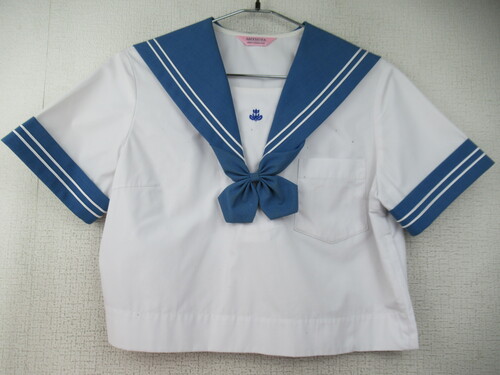 �F�{�� 9833�@240�@�傫�ȃT�C�Y�I���쒆�w �ăZ�[���[�㒅 ���F�� ���{���t