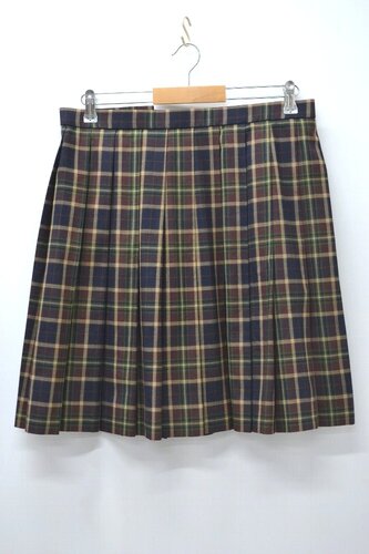  ������size W84 �����s �����w�����������w�Z �ăX�J�[�g ��NA0738