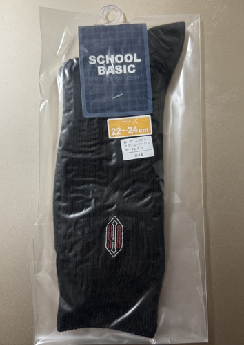 ���{ ���~�Ԓ��w�Z�E�~�ԍ����w�Z ���w��C��