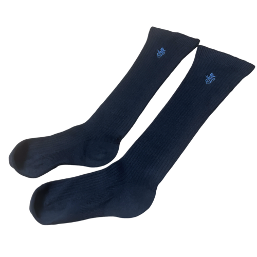 �����s �i�쏗�q�w�@�����w�Z�@�n�C�\�b�N�X