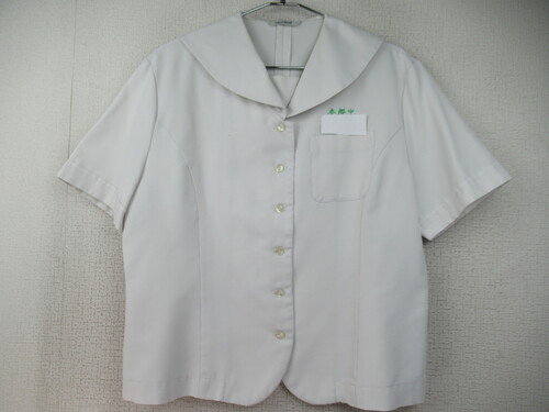 �{�茧 9851�@200�@�傫�ȃT�C�Y�I�{�����w �ăZ�[���[�㒅 �O�{�^��