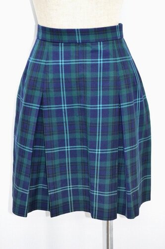  �Z�����s�� ���u�����w�Z �ăX�J�[�g ����5131