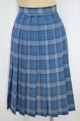  �Z�����s�� ���������w�Z �ăX�J�[�g ����3136