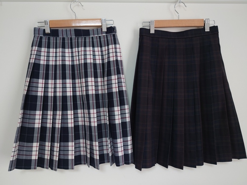 �����s �L���w�@���Z�@���~�ăX�J�[�g���ʊw�����b�N�����i