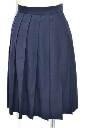  �Z��ʌ� �������܎s���Y�a�썂���w�Z �ăX�J�[�g ����3137