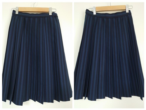 �_�ސ쌧 �ˈ��w�������������X�g���C�v���X�J�[�g�����i���X�N�[���^�C�K�[��