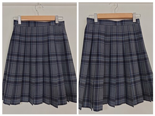 �_�ސ쌧 �ˈ��w�������������ă`�F�b�N���X�J�[�g�@