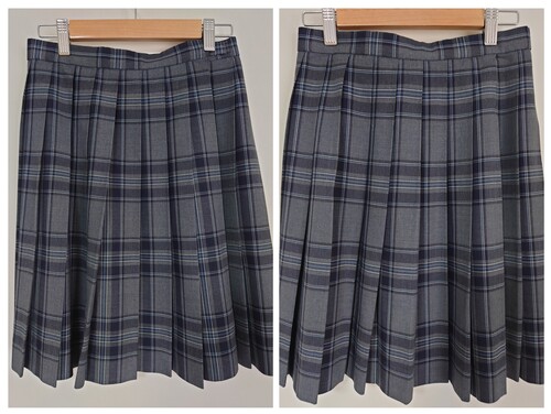 �_�ސ쌧 �ˈ��w�������������ă`�F�b�N���X�J�[�g�A