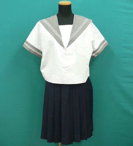 ���{ #1829�@�s����w�@���Z�t�O���[�G����3�{���C���̉ăZ�[���[�@�y����T�C�Y�z