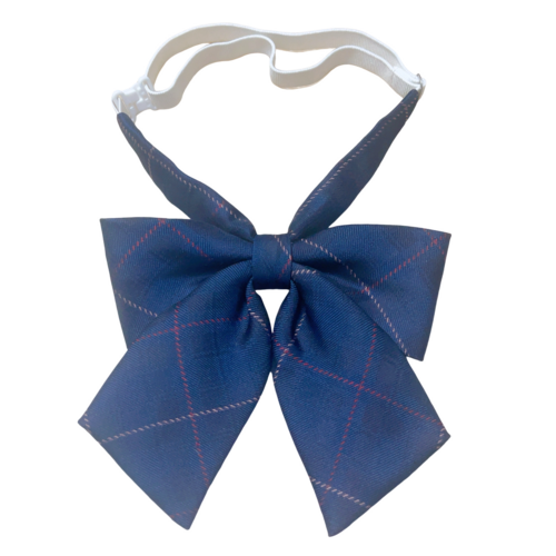 �����s �����s�������썂���w�Z�@�����i�w�Z�@���{���^�C