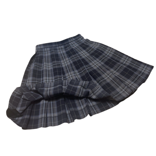 �����s �����s�������썂���w�Z�@�ăX�J�[�g�@�����i�w�Z