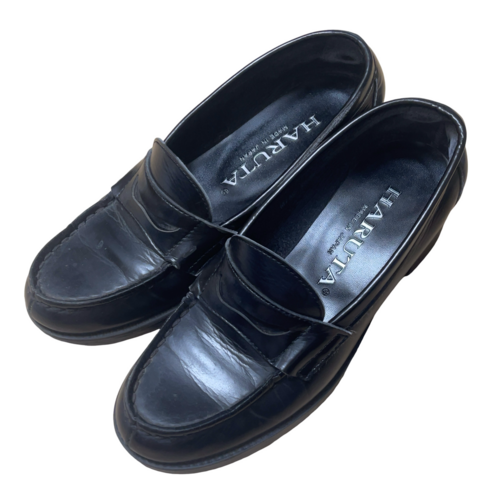 �_�ސ쌧 ������w�������l�����w�Z�@�����@�΍��l66 �ʊw���[�t�@  ���@23.0EEE