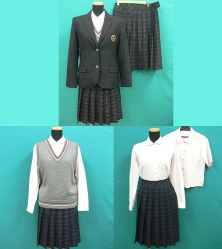 ���{ #1831�@�s�H�ߊw���t�u���U�[�����~�ăZ�b�g�@�T�C�YL�@