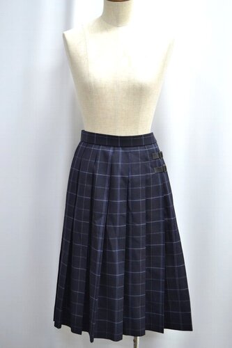  �Z��size W78 ��ʌ� ���ۊw�@�����w�Z �~�X�J�[�g ����x���g ����6239