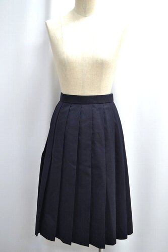  �Z��size W76 ��ʌ��� ��ː������w�Z �ăX�J�[�g ����6240