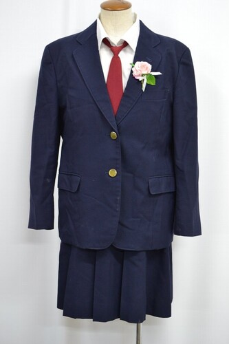  �Z�����s�� �����������w�Z �u���U�[�~�� ����6244