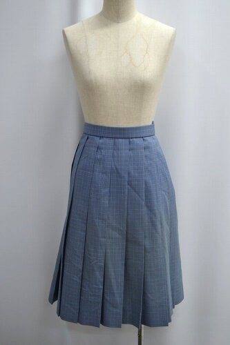  �Z��ʌ��� ���Ԍ��z�����w�Z �ăX�J�[�g ����6245