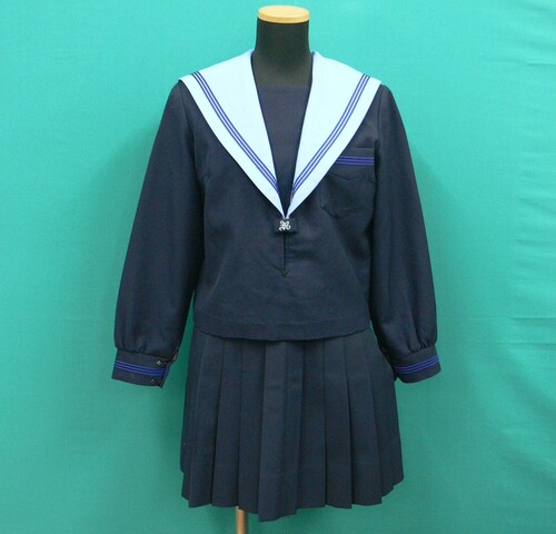 ���{ #1847�@�s��s���@�O���䒆�w�Z�t���F�G���J�o�[��3�{���C���̓~�Z�[���[�@�T�C�YA50