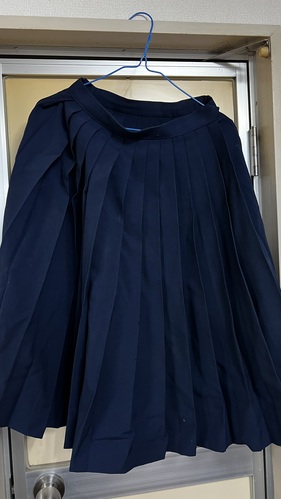 [�s��] �s���@�ăX�J�[�g�P�i