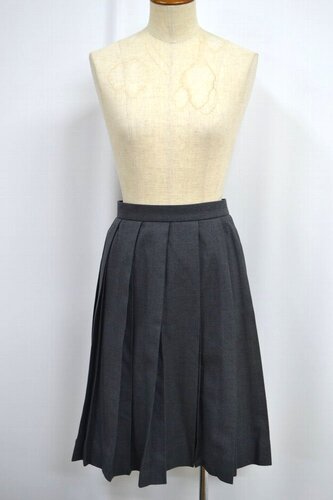  �Z���� W86 ��錧 �����w�������w�Z �~�X�J�[�g ����6251