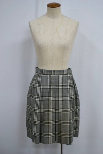  �Z�����s �x�m�������w�Z �ăX�J�[�g ���n�t�� ����6252