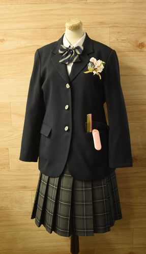  b�����i ���Ƒ��ԕt�� �傫��165A���Ȗ،����������������w�Z ���q�u���U�[������