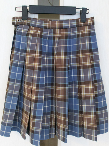 �����s �i�쏗�q�w�@�������E�������@�~�X�J�[�g�@�`�F�b�N�X�J�[�g