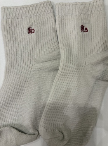 ������ �������q���w�Z�@�w��C���@���Õi�w��\�b�N�X22-24