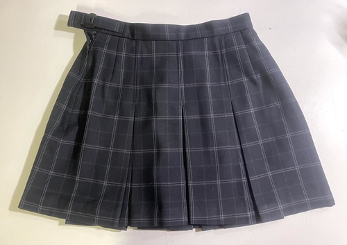 �_�ސ쌧 ��R���Z�����~�j�X�J�[�g��������