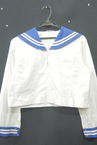  7534k ������T�C�Y�� �F�{�� �F�{�s�� �o�����w ���ԕ� ���� �w��Z�[���[�� �T�C�Y3L �^�P���g��