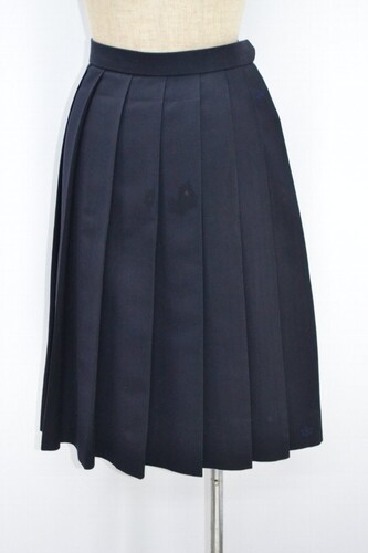  ����ʌ��� ��ː������w�Z �ăX�J�[�g ��NA0745 