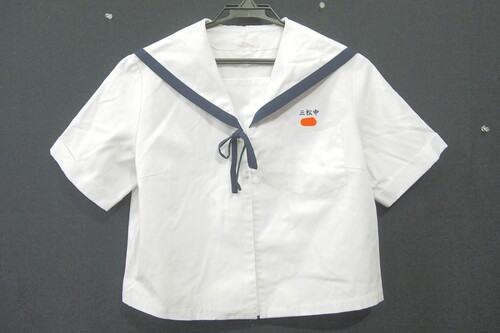  7535k �{�茧 ���юs�� �O�����w �ĕ� ���� �w��Z�[���[�� �T�C�YLL �J���R�[�� ���q����