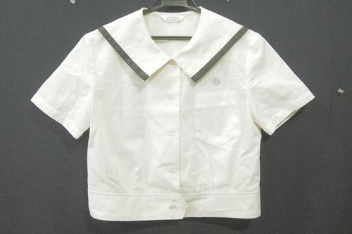  7536k �F�{�� �F�{�s�� ���ؒ��w �ĕ� ���� �w��Z�[���[�� �T�C�YLL �~�c�^�� ���q����