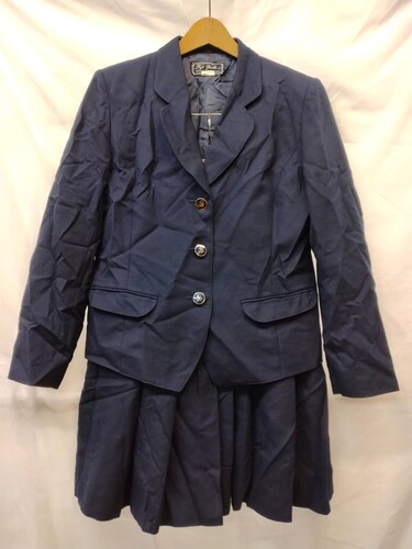 �_�ސ쌧 �yK3369�z���͏��q��w�������@�����㉺