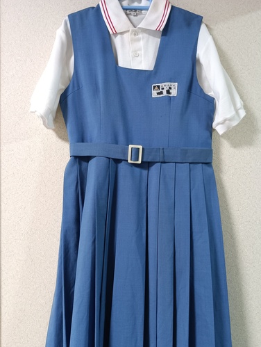 ������ �����s�� �Ԕ����w�Z ���E�ĕ��傫�߃T�C�Y [003120]