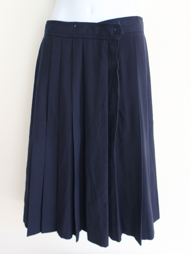 �_�ސ쌧 �t�F���X���w�@���w�Z�����w�Z�@�w��~�v���[�c�X�J�[�g