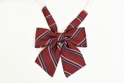 �����s �������؏��q���Z �y���s ���{���z/3820SE